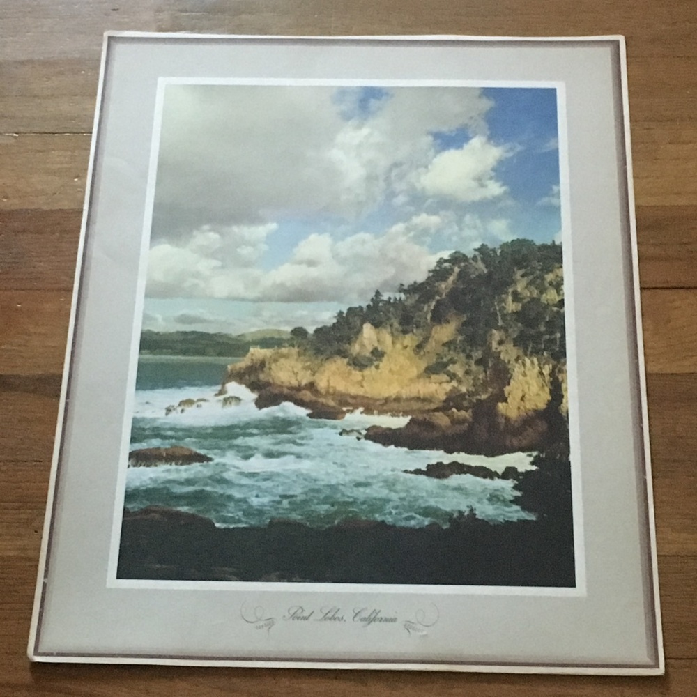 Vintage Point Lobos, California Photograph